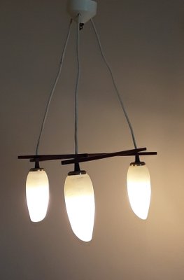 Scandinavian Style 3-Flamed Ceiling Lamp in Teak and Glass Shade, 1960s,-HOI-1417706