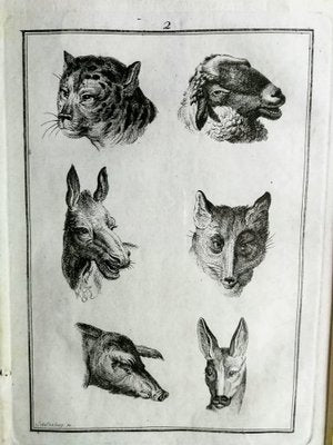 Schellenberg, Animal Images, 18th Century, Print, Framed-FSD-1371597