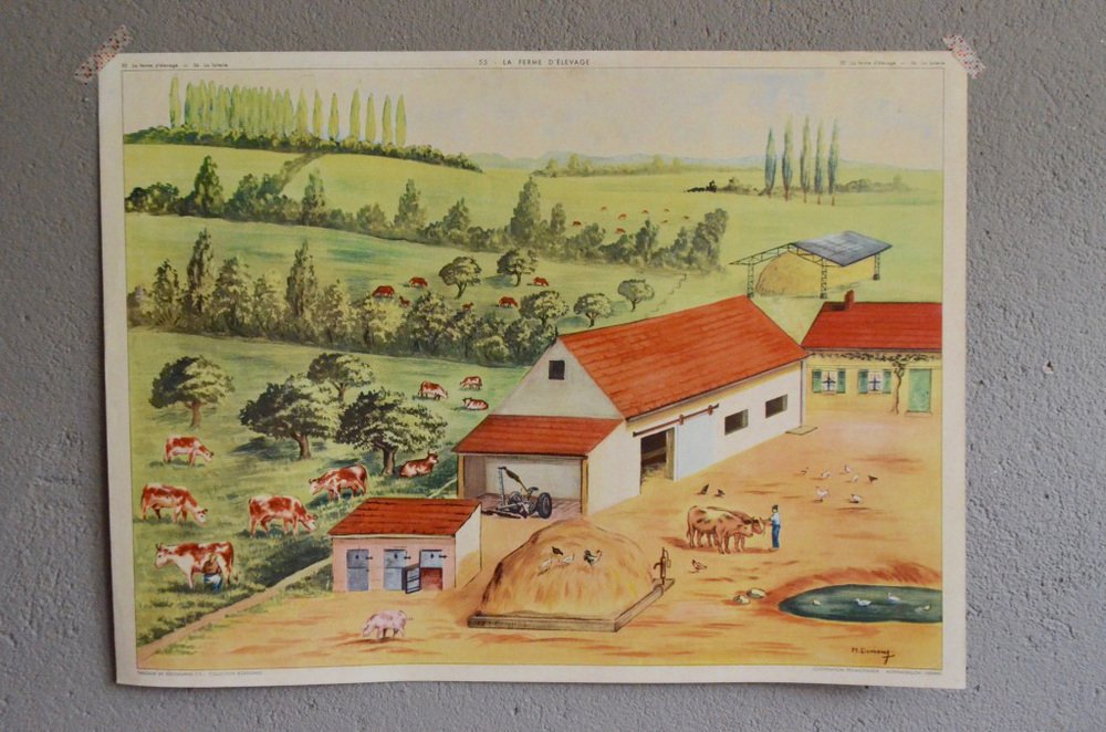 School Poster Depicting Dairy from Éditions Rossignol