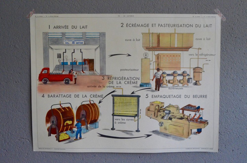 School Poster Depicting Dairy from Éditions Rossignol