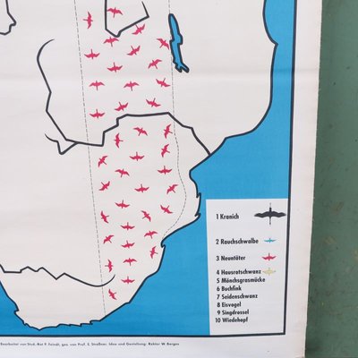 School Teaching Map of Birds from Verlag Jaeger Darmstadt, 1950s-WK-674054