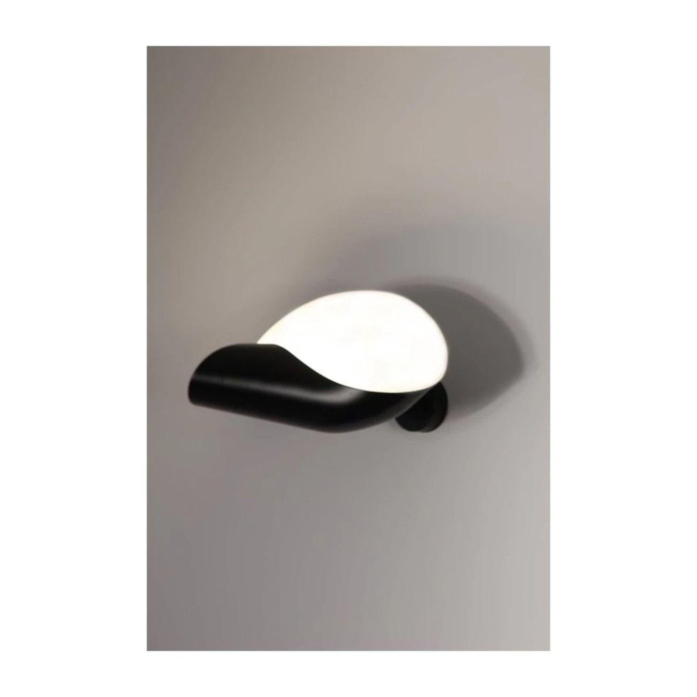 Sconce Conche by Serge Mouille