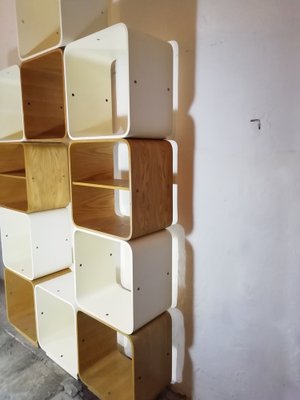 Scorzè Modular Shelves by Carlo De Carli for Fiarm, Venice, Italy, 1960s, Set of 11-HNE-1401250