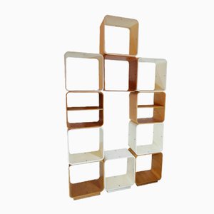 Scorzè Modular Shelves by Carlo De Carli for Fiarm, Venice, Italy, 1960s, Set of 11-HNE-1401250