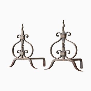 Sculptural Andirons or Fire Dogs in Wrought Iron, Early 20th Century, Set of 2-FEW-2024222