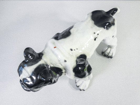 Sculpture of Bulldog in Glazed Terracotta, France, 1920s-OJE-1718828