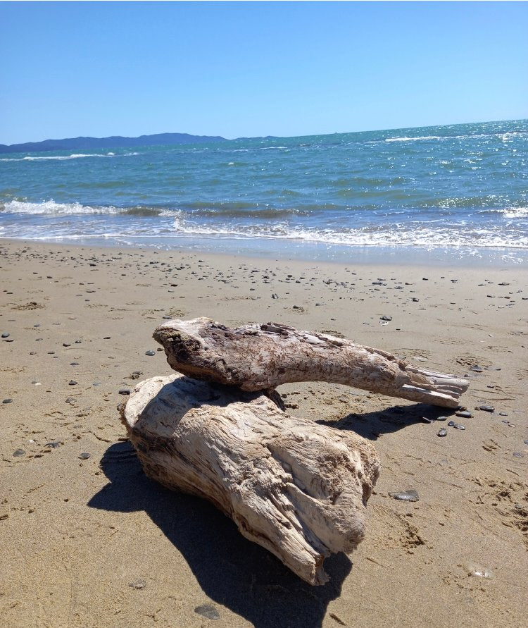 Scultura del Mare Coffee Table by Pietro Meccani for Meccani Design