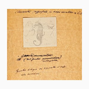 Sea Horse - Original Drawing - 1935 1935-ZCI-761621