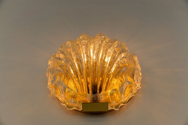 Sea Shell-Shaped Ice Glass Wall Light by Limburg, Germany, 1960s-KQB-1739503