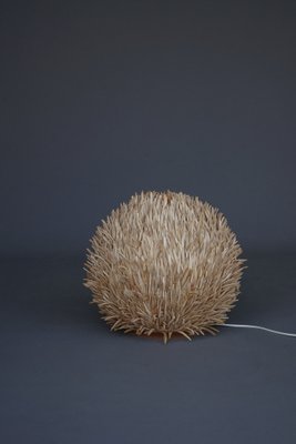 Sea Urchin Wooden Table Lamp, 1990s-MB-2043218