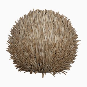 Sea Urchin Wooden Table Lamp, 1990s-MB-2043218