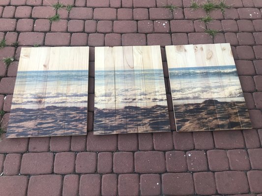 Seascape Wall Art Print on Wooden Boards, 20th Century, Set of 3-WQQ-1364447