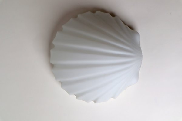 Seashell Lamp from Glashütte Limburg-ESB-1374099