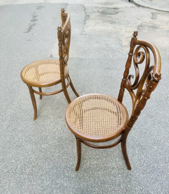 Sedia Dining Chair by Michael Thonet for Thonet-NUO-1755107