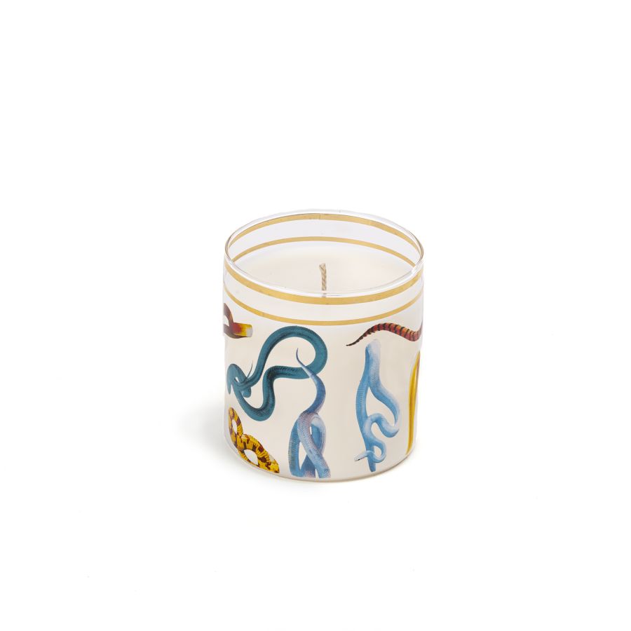 Borosilicate Glass Candle Snakes by Seletti