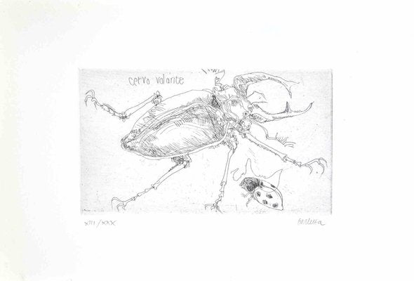 Sergio Barletta, Insect, Etching, 1974-ZCI-2030048