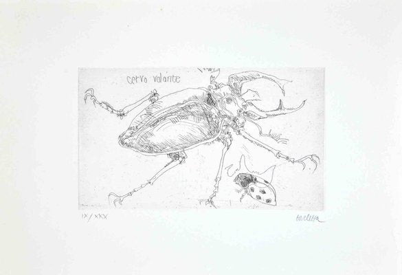 Sergio Barletta, Insects, Etching, 1974-ZCI-2029965