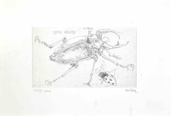 Sergio Barletta, Insects, Etching, 1974-ZCI-2030118