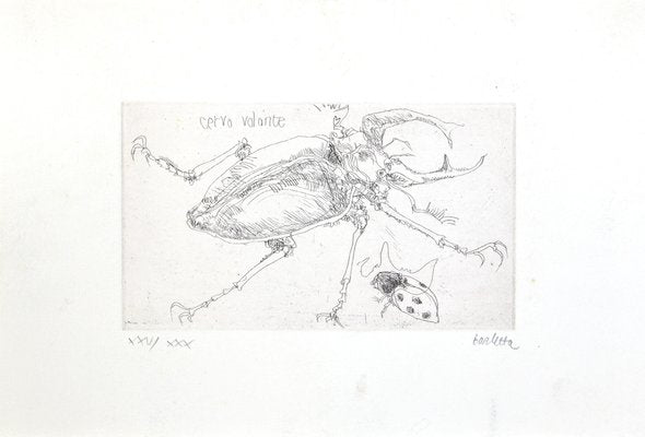 Sergio Barletta, Insects, Etching, 1974-ZCI-2029182