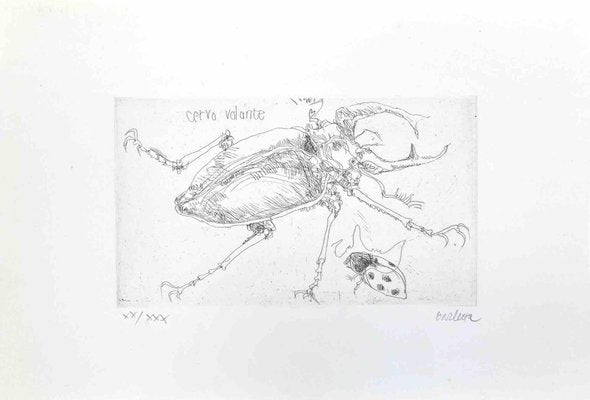 Sergio Barletta, Insects, Etching, 1974-ZCI-2030077