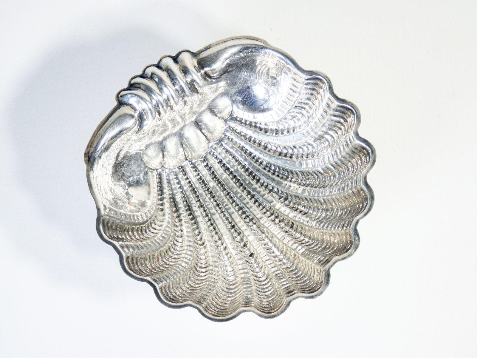 Shell Bowl in Silver by Rino Greggio, 1950s