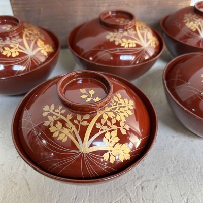 Shōwa Era Urushi Maki-E Rice Bowls, Japan, 1950s, Set of 5-DWL-1698154