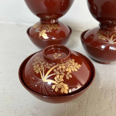 Shōwa Era Urushi Maki-E Rice Bowls, Japan, 1950s, Set of 5