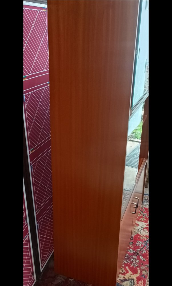 Showcase Bookcase in Wood and Glass, 1950s