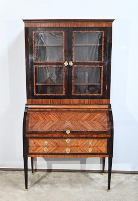 Showcase Cabinet in Precious Wood, Late 18th Century-RVK-1724739