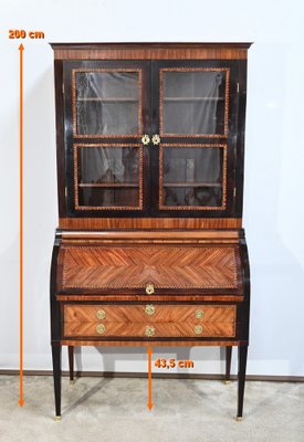 Showcase Cabinet in Precious Wood, Late 18th Century-RVK-1724739