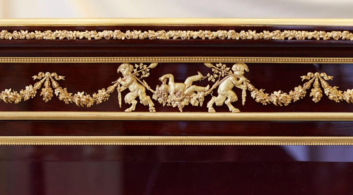 Showcase in Mahogany and Gilded Bronze in the style of Sormani, France, 19th Century-WMV-1791976