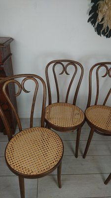 Side Chairs by Michael Thonet, 1960s, Set of 4-AJN-1442210