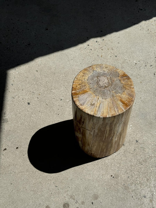 Side Table in Golden Brown Petrified Wood with Gray Heart