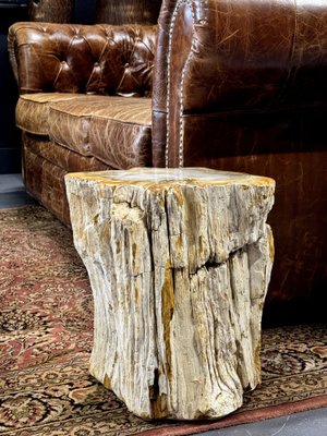 Side Table in Petrified Wood-ZMG-1793874