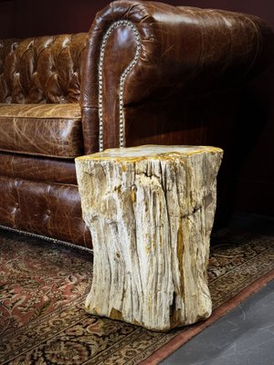 Side Table in Petrified Wood-ZMG-1793874