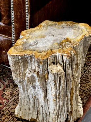 Side Table in Petrified Wood-ZMG-1793874