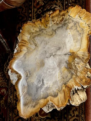 Side Table in Petrified Wood-ZMG-1793874