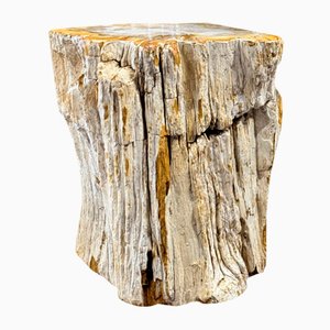 Side Table in Petrified Wood-ZMG-1793874