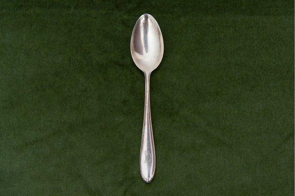 Silver Dinner Spoons by Bruckmann & Sons, Set of 12-BXB-1427549