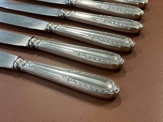 Silver Metal and Stainless Steel Knives from Paris Ravinet, Set of 12-QYF-1725333