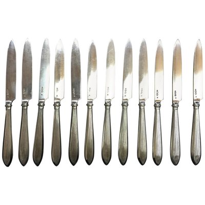 Silver Rib Model Fruit Knives, Netherlands, 1920s, Set of 12-UCH-1224926