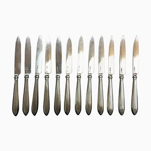 Silver Rib Model Fruit Knives, Netherlands, 1920s, Set of 12-UCH-1224926