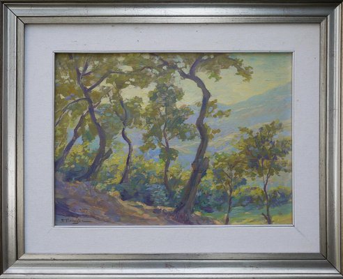 Silvio Travaglia, Euganean Hills, 1920s, Oil on Wood, Framed-BGS-1077970