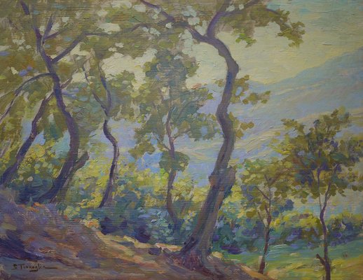 Silvio Travaglia, Euganean Hills, 1920s, Oil on Wood, Framed-BGS-1077970