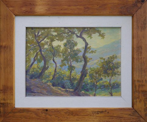 Silvio Travaglia, Euganean Hills, 1920s, Oil on Wood, Framed-BGS-1077970