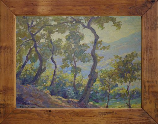 Silvio Travaglia, Euganean Hills, 1920s, Oil on Wood, Framed-BGS-1077970