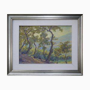 Silvio Travaglia, Euganean Hills, 1920s, Oil on Wood, Framed-BGS-1077970