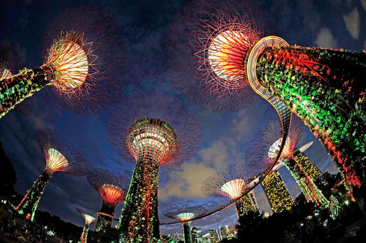 Singapore Gardens by the Bay #2, 2016