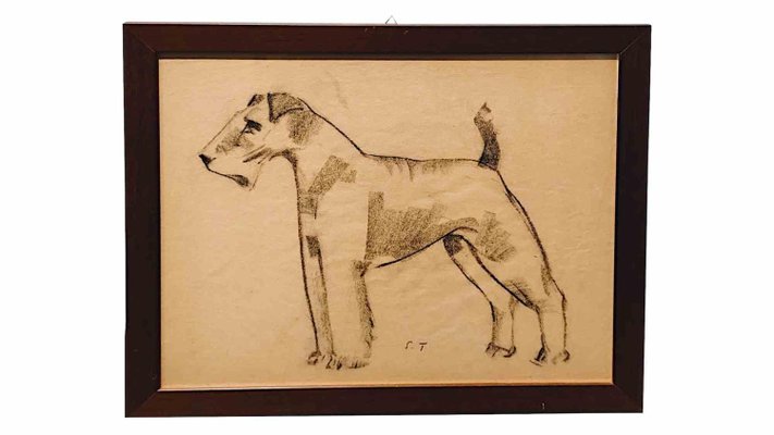 Sirio Tofanari, Fox Terrier, Drawing, 1920s-ZCI-2025116