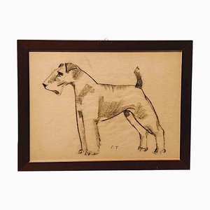 Sirio Tofanari, Fox Terrier, Drawing, 1920s-ZCI-2025116